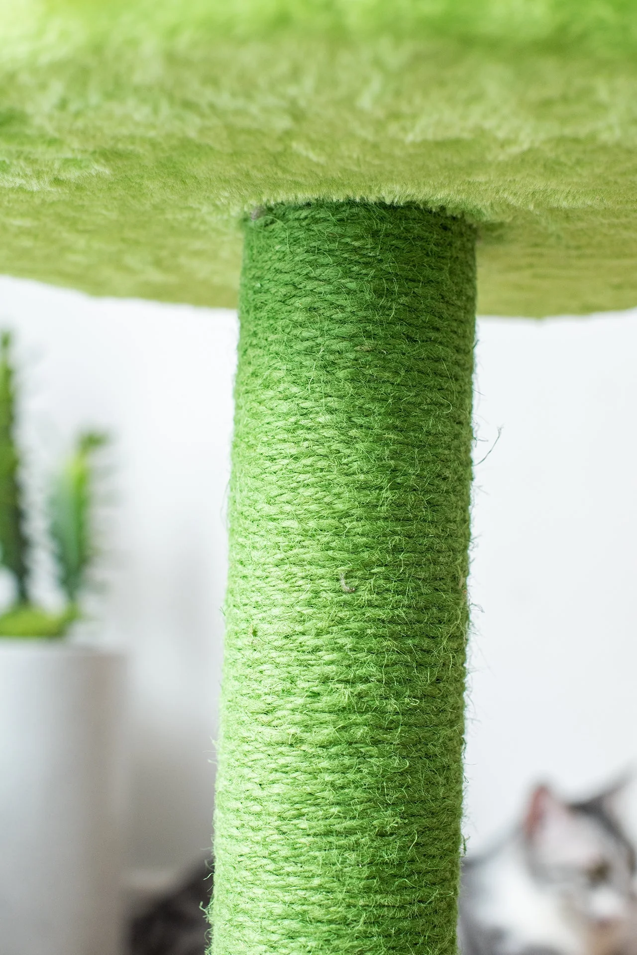 Catry Sunflower Cat Scratcher - Image 11