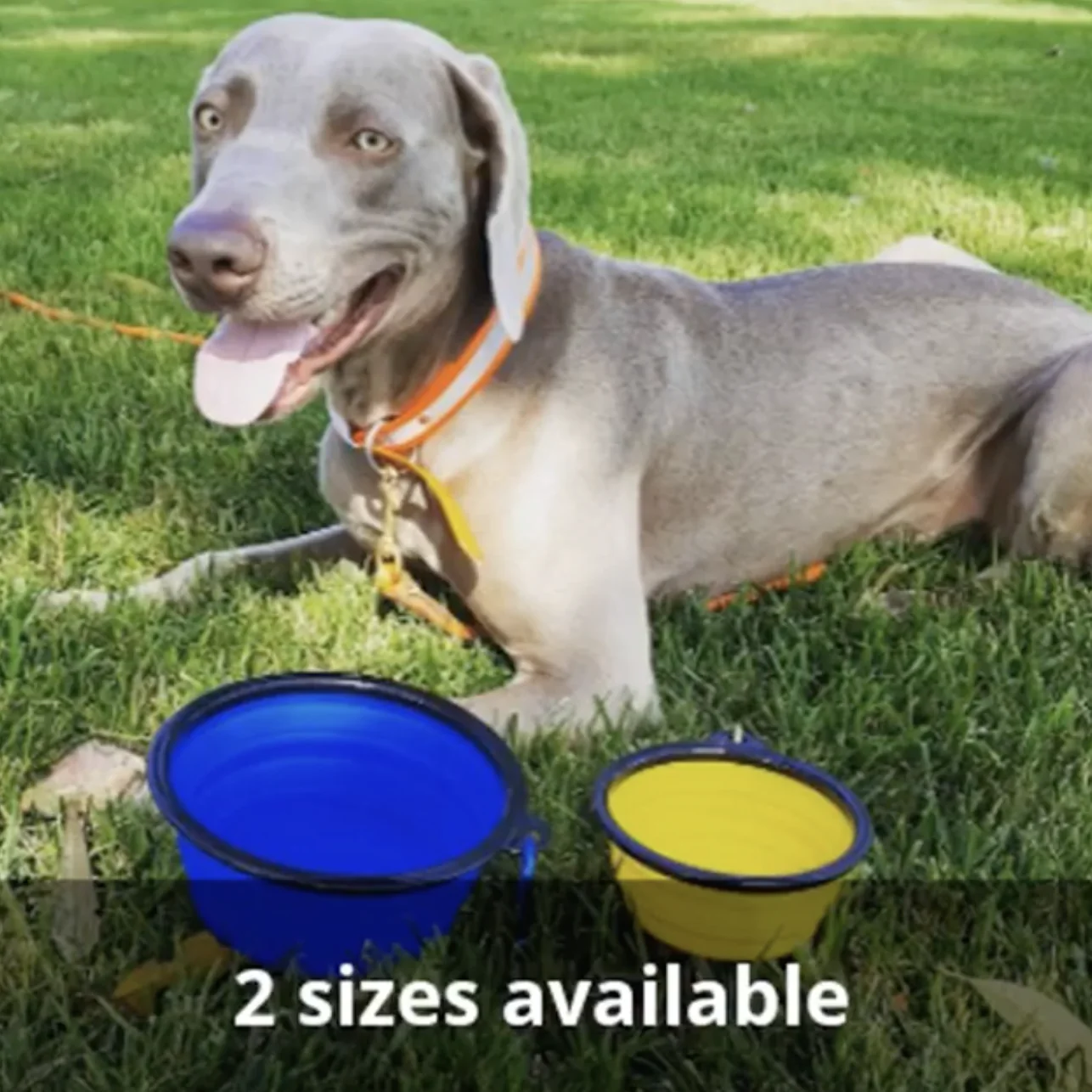 Collapsible Silicone Travel Bowls - 12oz - Image 17