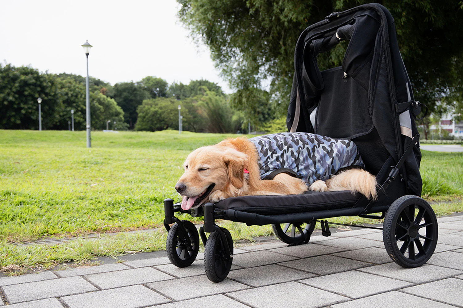 Ibiyaya Grand Cruiser Large Dog Stroller, 4-Wheel Foldable Big Dog Pram for Large Breeds, Senior & Injured Pets - PreOrder Only March 27 Shipping - Image 25