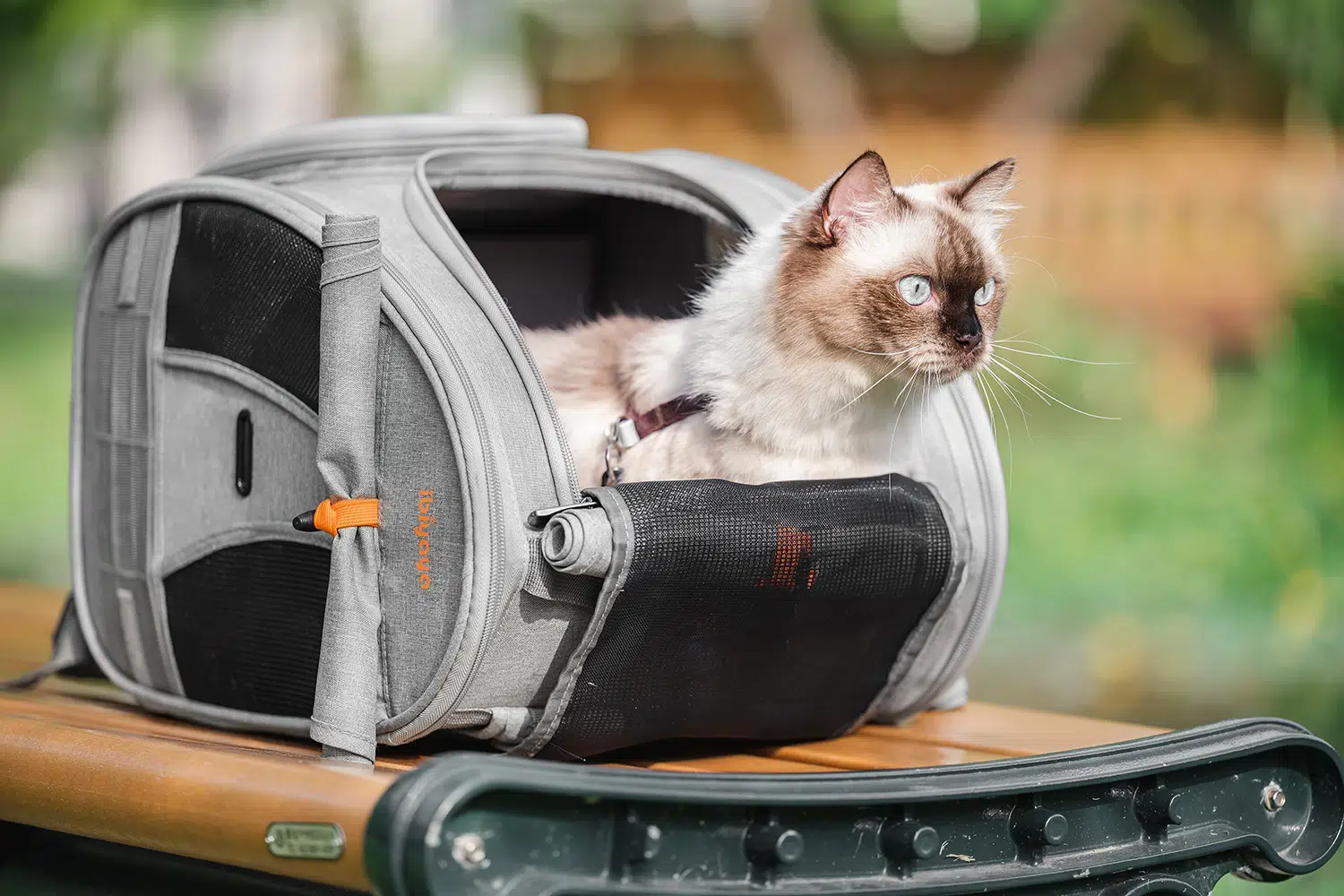 Ibiyaya Adventure Cat/Bunny/Puppy Carrier Backpack with Window, Large Airline Approved Cat Bag for Hiking & Travel. Best for both Kitten & Fat Cat - PreOrder Only - Image 9