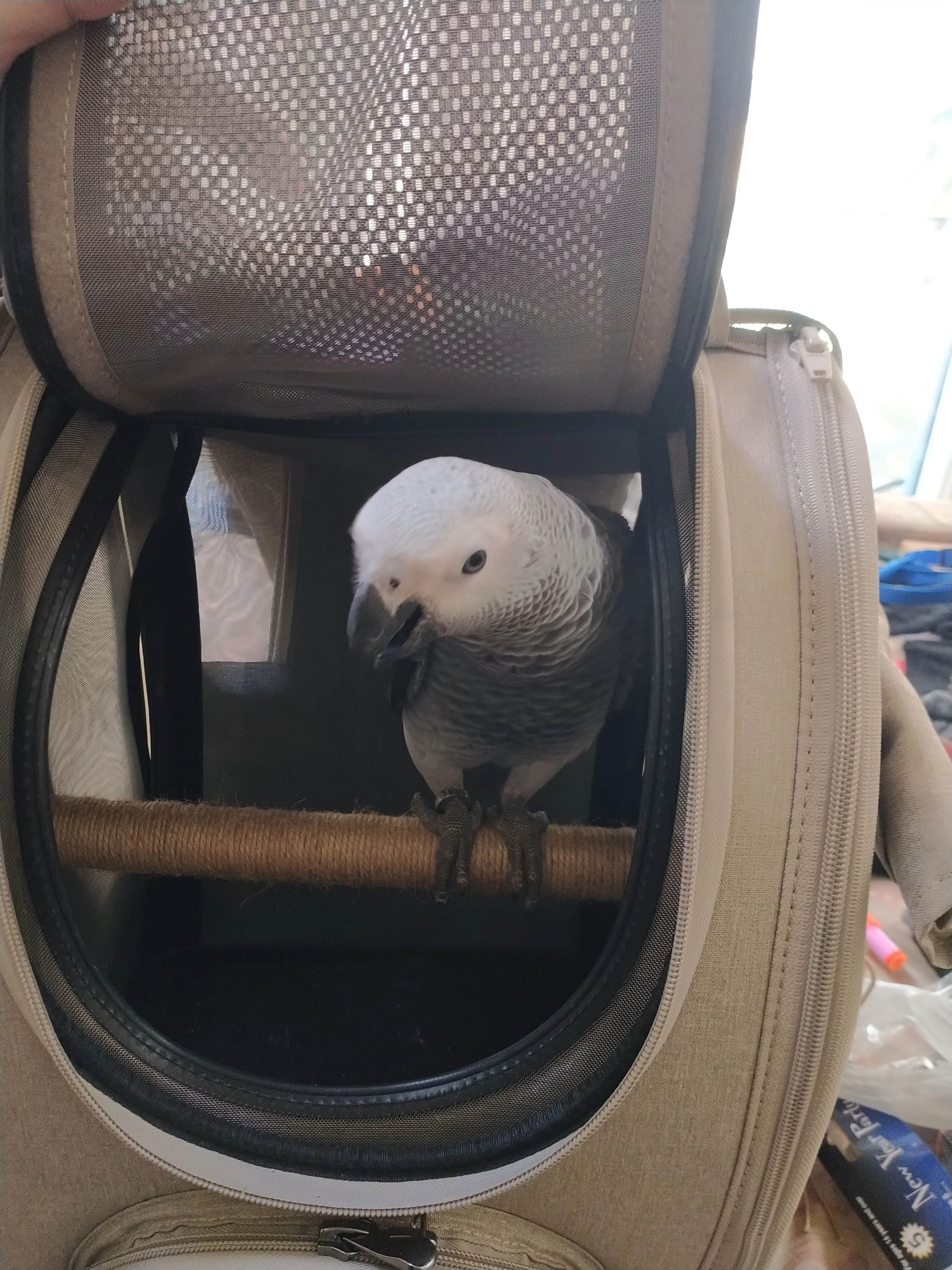Ibiyaya BirdTricks TrackPack for Birds, Patented Bird Carrier Backpack with Perch, Airline Approved - PreOrders Only - Image 11