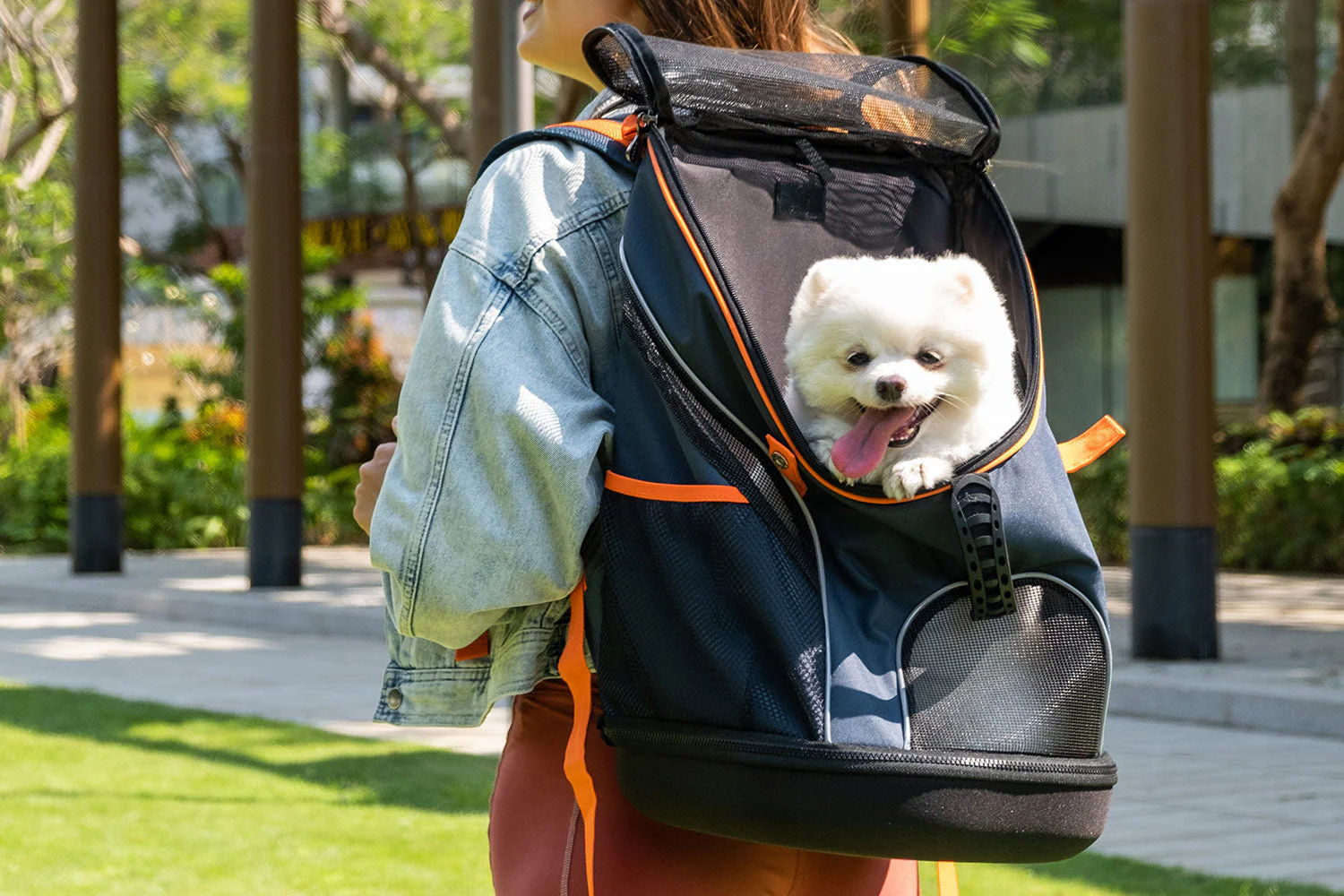 Ibiyaya Ultralight Pro Pet Backpack Carrier, Airline-Approved Backpack for Biking and Hiking, Front-Facing Cat-Dog Travel Bag Combo - Image 11