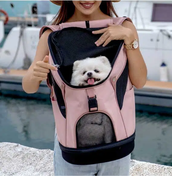 Ibiyaya Ultralight Pro Pet Backpack Carrier, Airline-Approved Backpack for Biking and Hiking, Front-Facing Cat-Dog Travel Bag Combo - Image 19