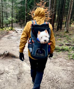 Ibiyaya Ultralight Pro Pet Backpack Carrier, Airline-Approved Backpack for Biking and Hiking, Front-Facing Cat-Dog Travel Bag Combo - Image 34