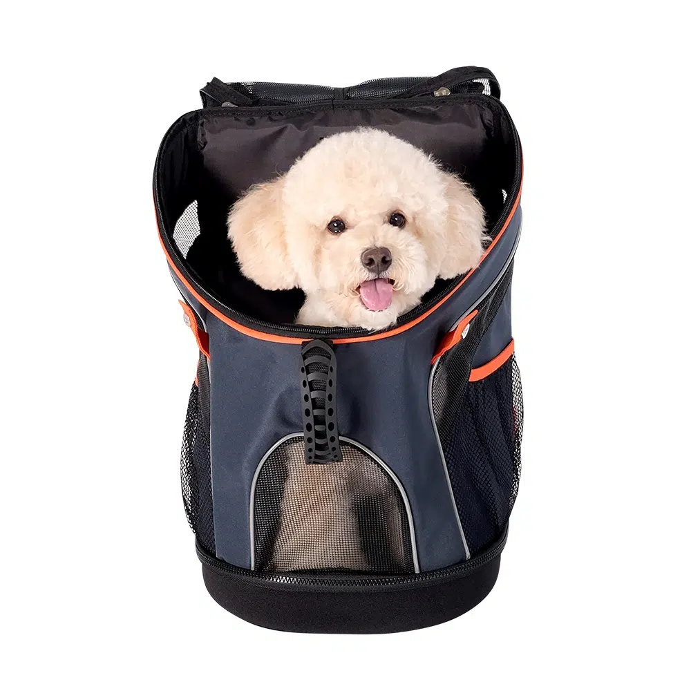 Ibiyaya Ultralight Pro Pet Backpack Carrier, Airline-Approved Backpack for Biking and Hiking, Front-Facing Cat-Dog Travel Bag Combo - Image 35