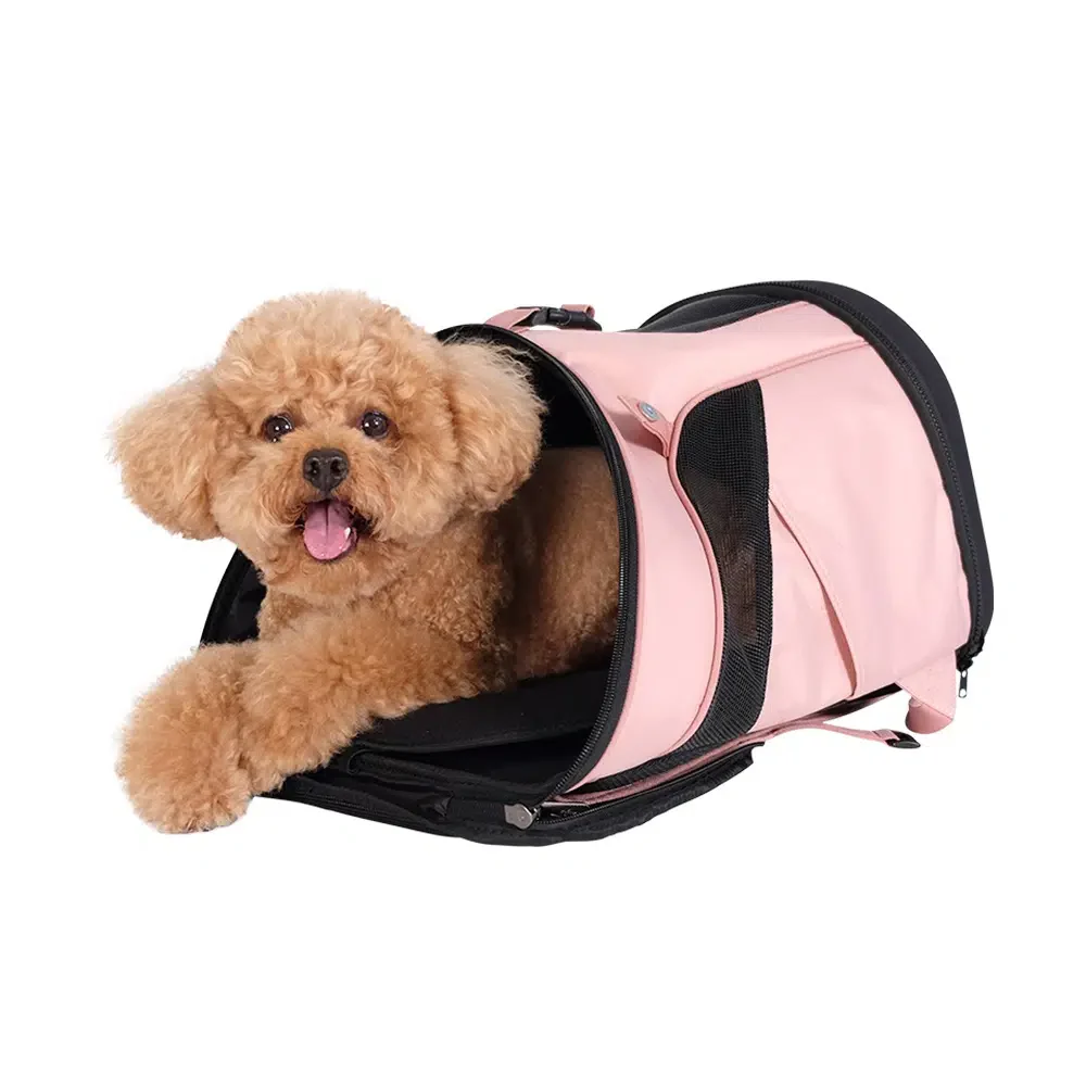 Ibiyaya Ultralight Pro Pet Backpack Carrier, Airline-Approved Backpack for Biking and Hiking, Front-Facing Cat-Dog Travel Bag Combo - Image 39