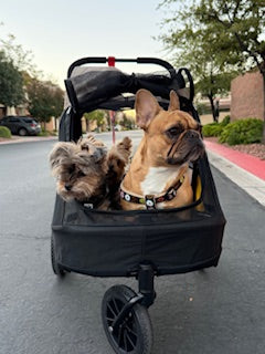 Ibiyaya Minika 3-in-1 Pet Stroller System with Foldable Dog Bicycle Trailer & Indoor-Outdoor Kennel - Image 3