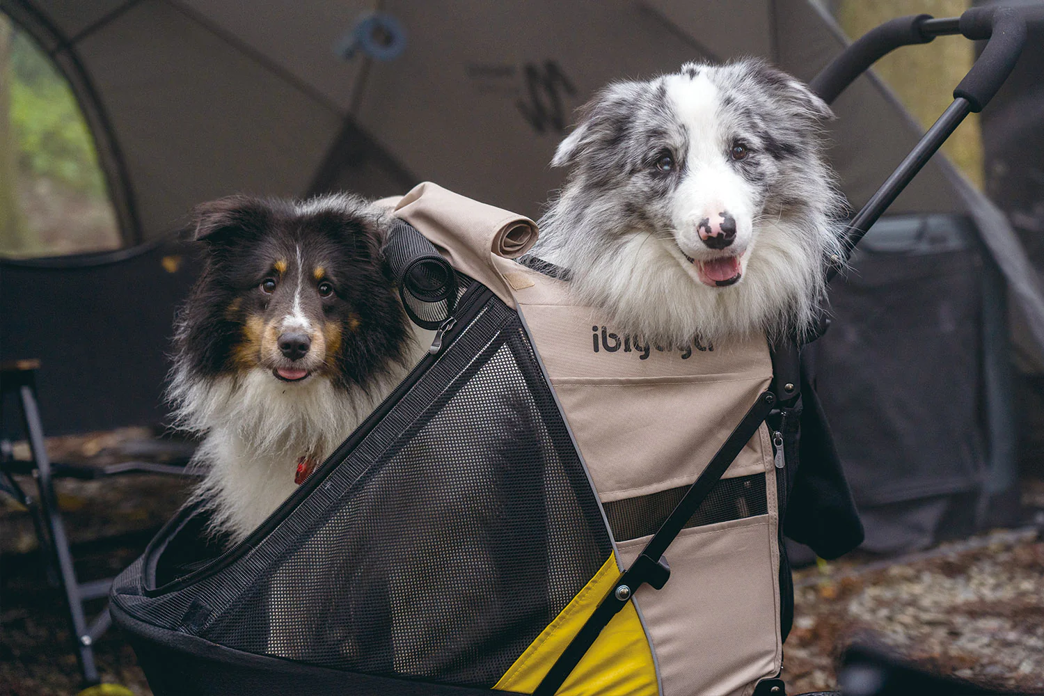 Ibiyaya Minika 3-in-1 Pet Stroller System with Foldable Dog Bicycle Trailer & Indoor-Outdoor Kennel - Image 4