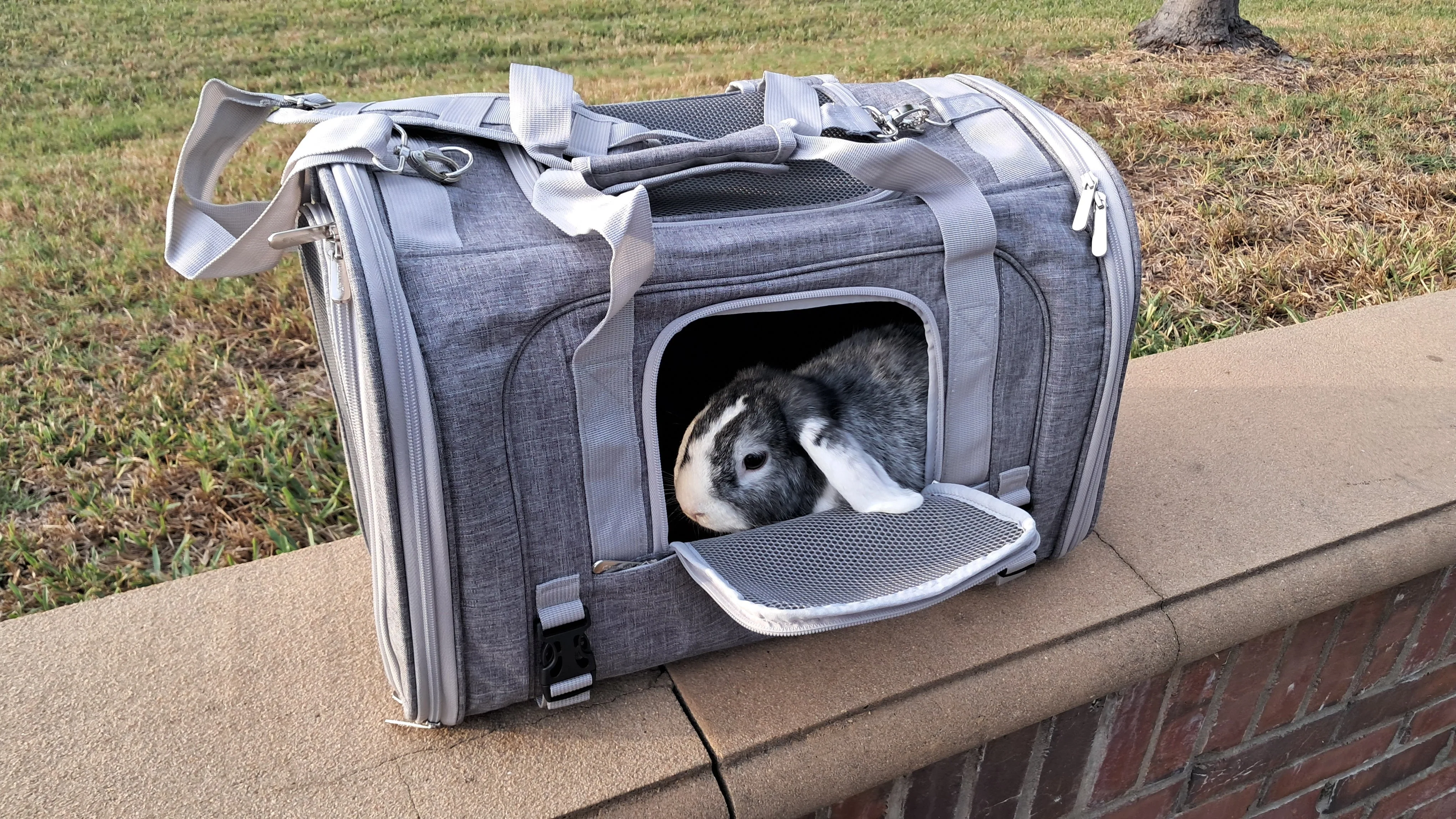 Mr. Peanut's Monterey Series Airline Compliant Horizontal Backpack Pet Carrier - Image 40
