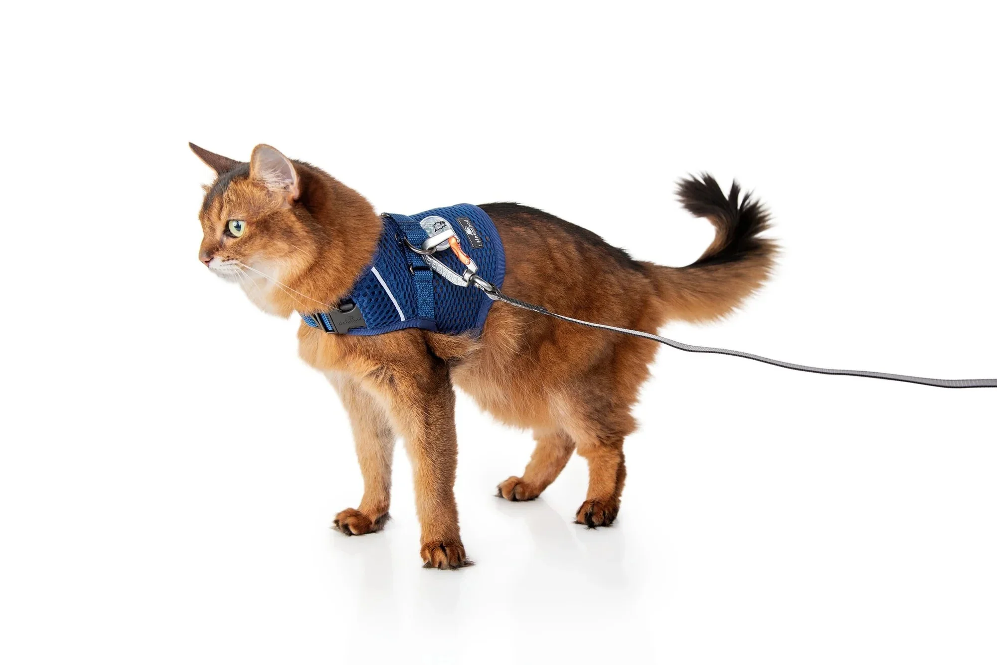 Sleepypod Martingale Calming Harness for Cats - Image 14