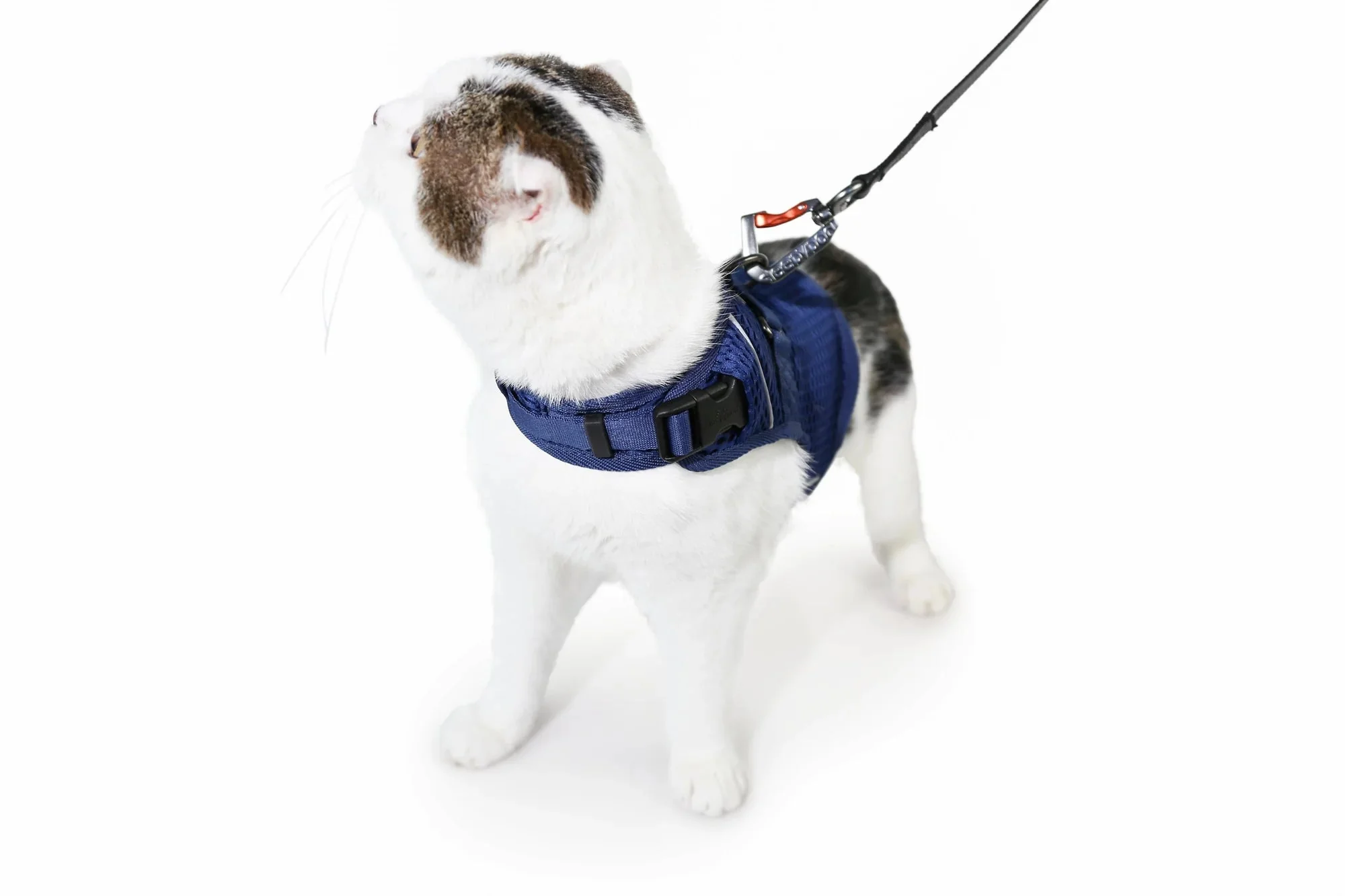 Sleepypod Martingale Calming Harness for Cats - Image 15