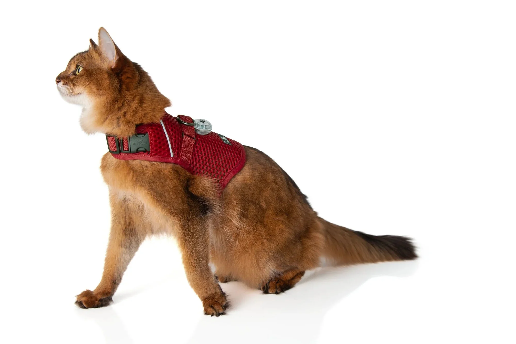 Sleepypod Martingale Calming Harness for Cats - Image 16
