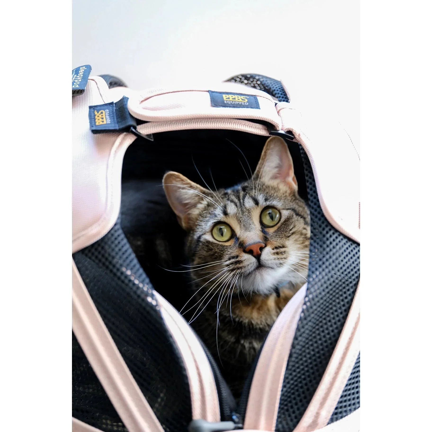 Sleepypod Airline Compliant Mobile Pet Bed - Mini Size, Impact Tested Small Pet Car Seat - Image 15