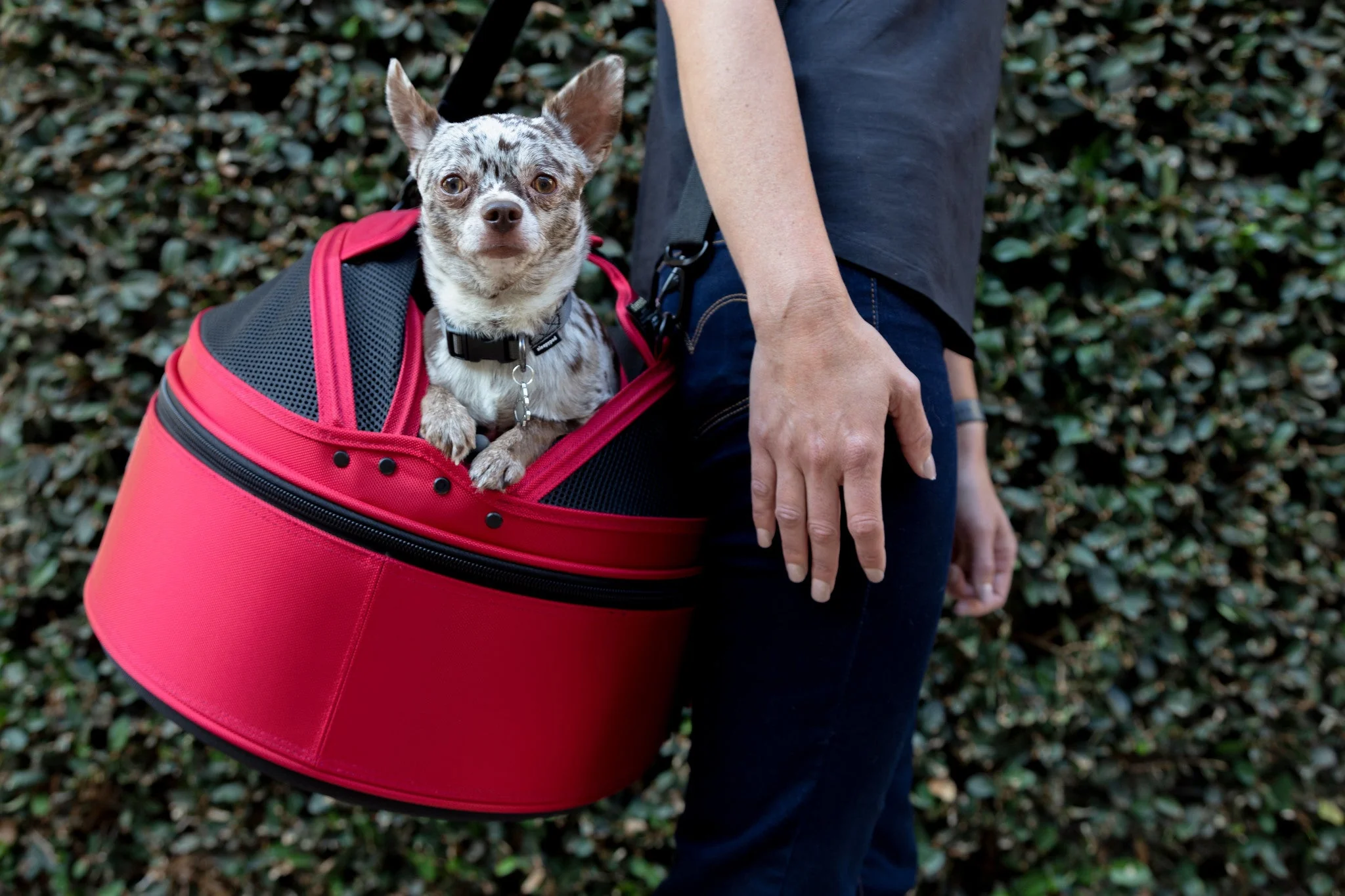 Sleepypod Mobile Pet Bed – Crash-Tested, Ultra-Plush Travel Bed for Small Pets - Full Size - Image 13