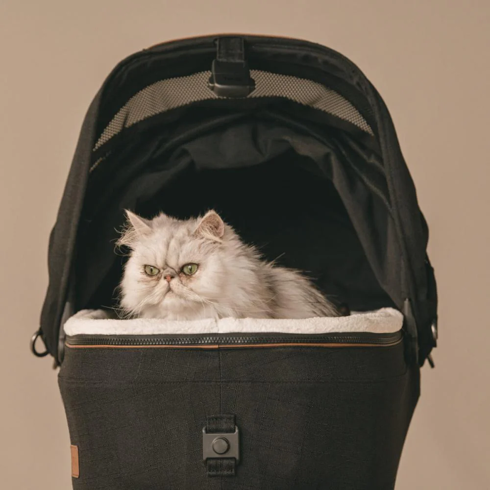 Tavo Pet Maeve™ + Roscoe™ - 3 in 1 Pet Protection - Please Note Shipping Time Frame in Description - Image 5